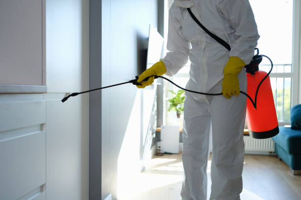 Johnson Lane, NV Mold Remediation Company